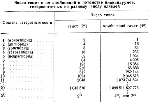 Сколько типов гамет образует потомок от анализирующего. Число типов гамет. Количество сортов гамет. Формула количества типов гамет. Как посчитать количество гамет у полигетерозиготы.