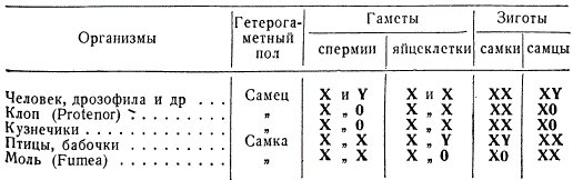 Типы соотношения половых хромосом у животных