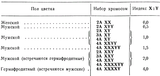 Соотношение половых хромосом и фенотип цветка у дремы