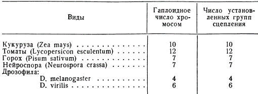 Соотношение числа групп сцепления у животных и растений и гаплоидного числа хромосом