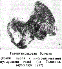 Газопузырьковая болезнь