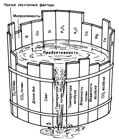 Влияние обеспеченности растений факторами жизни на их продуктивность