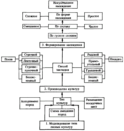 Схема методологической основы лесокультурного дела