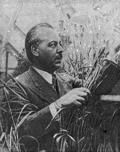 Н.И. Вавилов в оранжерее Института генетики АН СССР (1939 год)