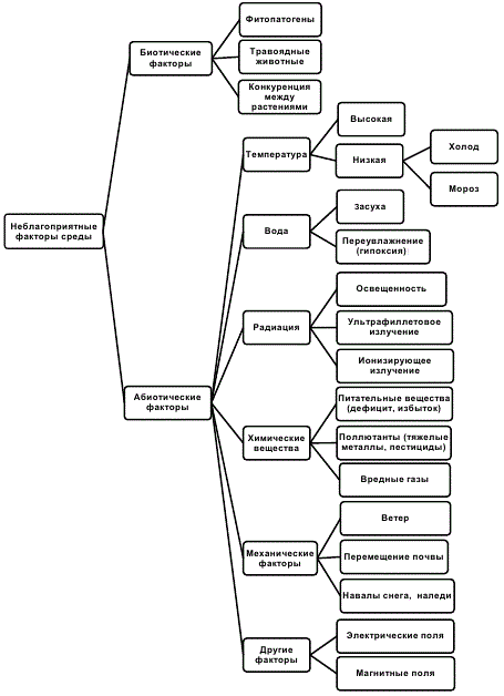 Неблагоприятные факторы внешней среды, вызывающие у растений стрессовое состояние