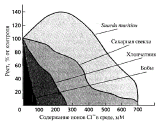 Зависимость роста различных видов растений от концентрации хлорида в среде (по Greenway and Munns, 1980, из С.С. Медведева, 2004)
