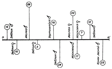 Схема маршрутного учета численности птиц