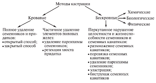 Классификация методов кастрации