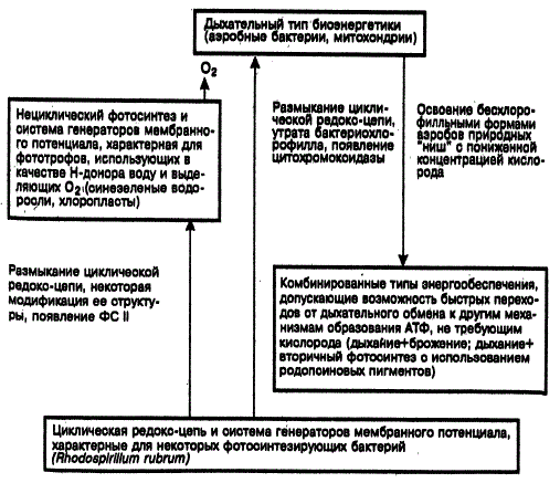 Предполагаемые этапы эволюции генераторов энергии (М. В. Гусев, Г. Б. Гохлернер, 1980)