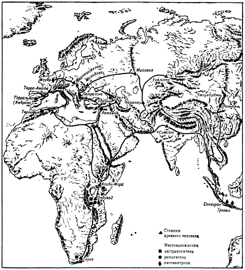 Вероятные пути расселения первобытного человека и его стоянки
