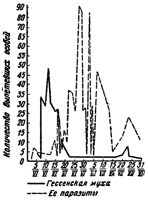 Влияние паразитических насекомых на динамику популяции гессенской мушки (По Лапиной)