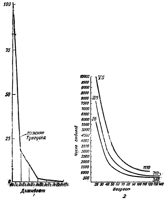 Убывание численности потомства белки (1). Смертность молодых очень велика (По Наумову). Рядом динамика численности ели (2) (По Морозову)