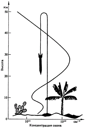 Пример распределения концентрации озона, полученного на ракете в экваториальной области
