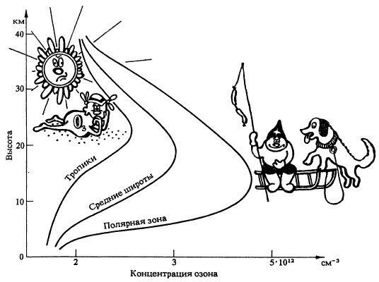 Трем широтным зонам соответствует разное высотное распределение концентрации озона