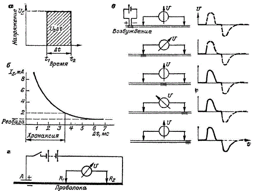 Схемы, поясняющие электрохимическое прохождение импульса