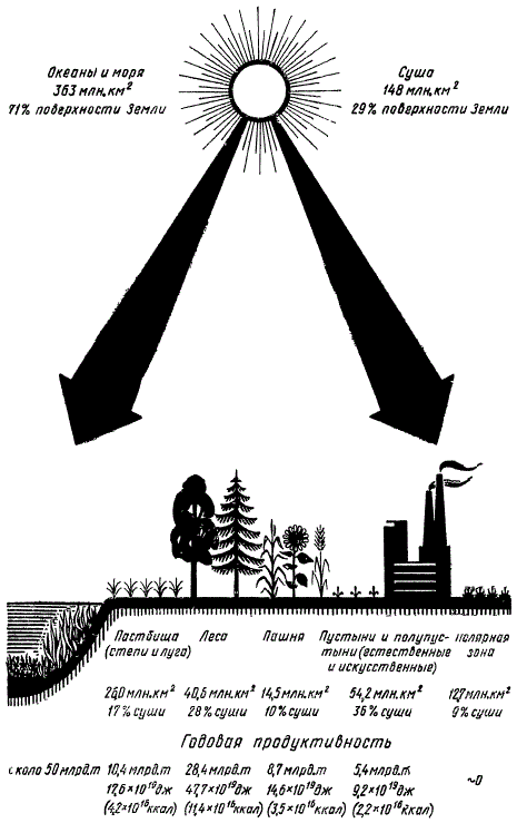 Схема распределения первичной продуктивности между основными растительными сообществами