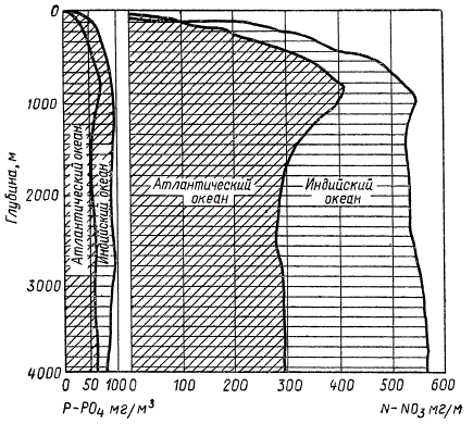 Изменение концентрации фосфатов и нитратов в зависимости от глубины открытого океана (по П. Дювиньо, М. Тангу)