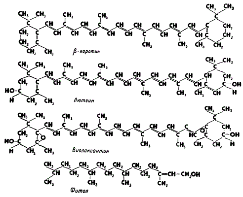 Структура фитола и каротиноидов