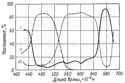 Графическое сравнение спектров поглощения пигментов сине-зеленой водоросли Chroococcus (по Р. Эмерсону): I — хлорофилл; II — каротиноиды; III — фикоциан