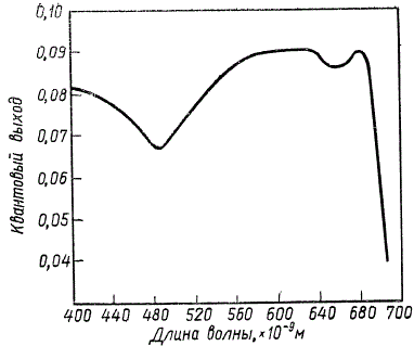 Зависимость квантового выхода фотосинтеза от длины волны падающего света у хлореллы (по Р. Эмерсону с соавторами)