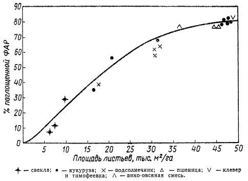 Зависимость количества поглощенной фотосинтетически активной радиации (в %) от размеров площади листьев (по А. А. Ничипоровичу)