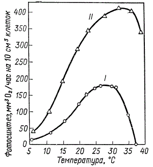 Изменение интенсивности фотосинтеза в зависимости от температуры при высокой интенсивности света