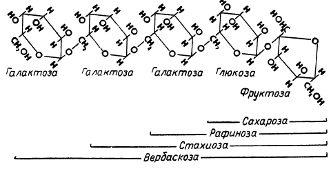 Олигосахариды, образующиеся путем присоединения к сахарозе одного, двух или трех остатков галактозы