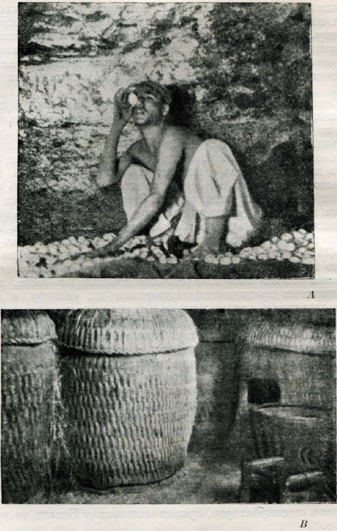 А — Египетский крестьянский инкубатор (из Кэдмена); В — Китайский крестьянский инкубатор (из Кинга)