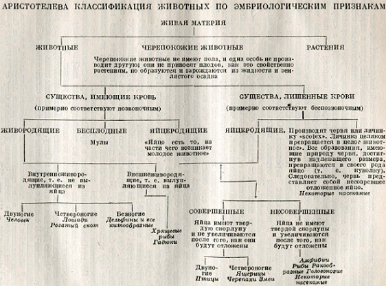 Классификация животных по эмбриологическим признакам (по Аристотелю)