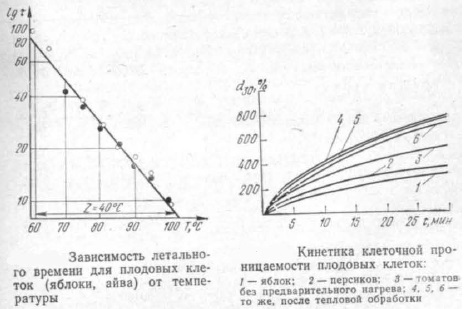 Кинетика клеточной проницаемости плодовых клеток