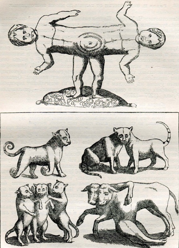 Иллюстрации из книги Фортуния Лицета "De monstris" (1665 г.)