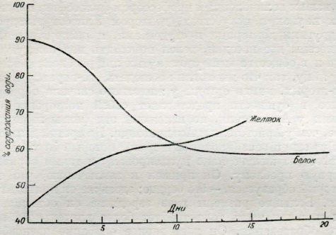 Содержание воды в желтке и в белке в продолжение развитии зародыша цыпленка