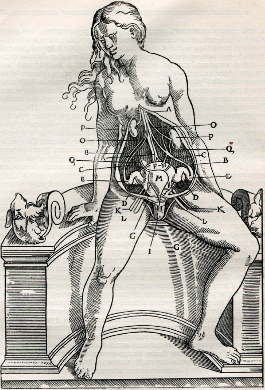 Иллюстрация из «Anatomia» Рифа (1541 г.)