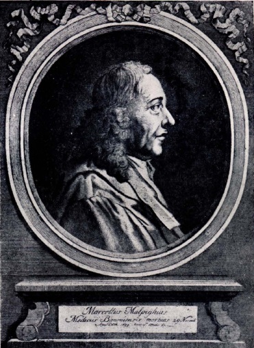 Марчелло Мальпиги (1628—1694)