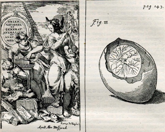 Из книги Ю. Шрадера «Observationes ot Historiae, etc.» (Амстердам, 1674 г.). Слева — фронтиспис; справа — рис. III.
