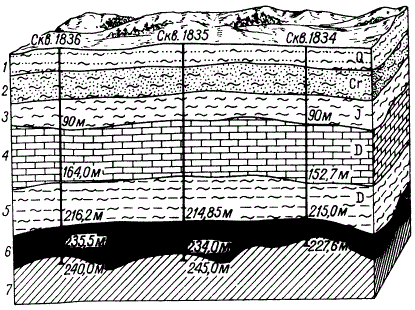 Геологический разрез Ново-Ялтинского месторождения железных руд (по И. П. Калинину)