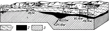 Геологический разрез Михайловского месторождения железных руд (по И. П. Калинину)