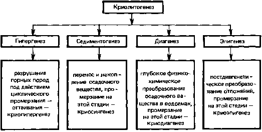 Стадии криолитогенеза — процесса осадочного породообразования в криолитозоне