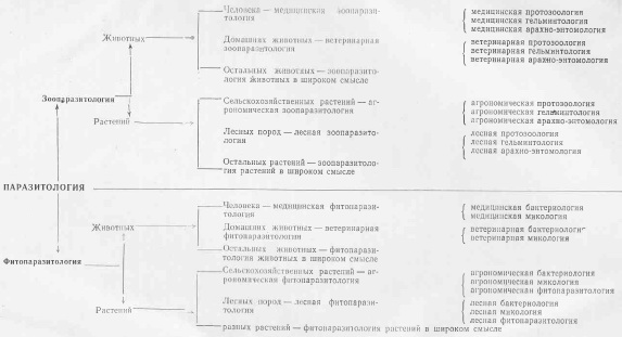 Содержание паразитологической науки (по К.И. Скрябину)