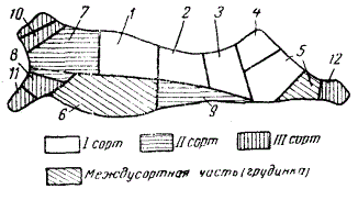 Принципиальная схема посортовой разрубки говяжьей полутуши