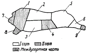 Схема разрубки свиной полутуши