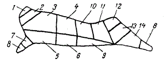 Схема разрубки бараньей туши для посола