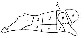 Схема комбинированной разделки говяжьей полутуши
