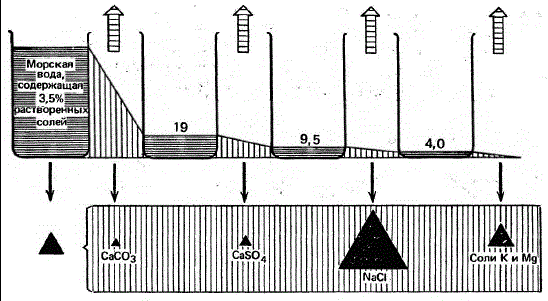 Последовательность осаждения соединений из морской воды