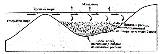 Схематическое поперечное сечение ограниченного бассейна