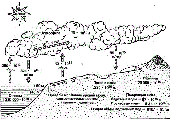 Гидросфера и гидрологический цикл