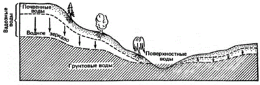 Взаимосвязь между подземными водами, водным зеркалом и топографией.