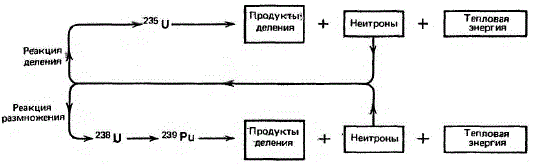 Диаграмма, показывающая различие между реакциями деления урана 235 и превращения урана 238 в плутоний-239 и последующее деление плутония