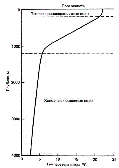 Обобщенное представление о вертикальном распределении температур в океане