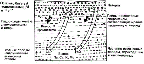 Наиболее растворимые элементы в процессе химического выветривания выносятся из латеритной шапки, в которой концентрируются менее растворимые гидроксиды железа и алюминия